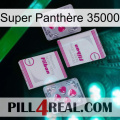Super Panthère 35000 33